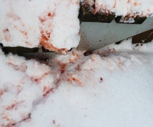 First Frames First 54: Picture Wrap on Shifted a recap!