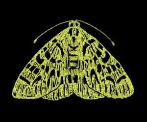First Frames First 9: Heather And The Moth